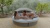 Lady Lyne, Jade Winter, Lily Veroni