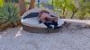 Lady Lyne, Jade Winter, Lily Veroni