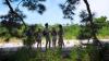 Angel Rai, Elise Moon, Milka Feer, Una Fairy